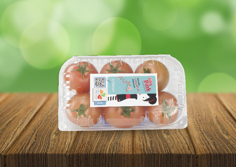 bpro41-produtor-tomate-grape-kano-tomates-piedade bpro41-produtor-tomate-grape-kano-tomates-piedade